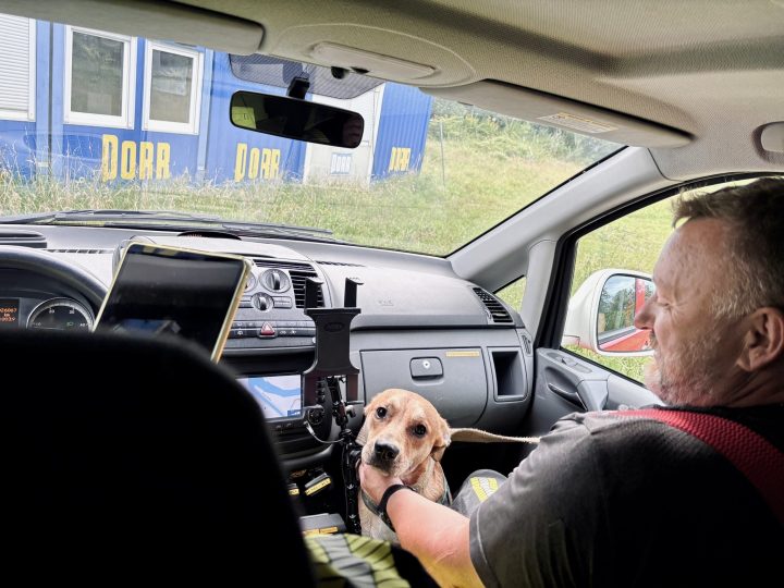 Tierrettung | Hund aus Inn gerettet