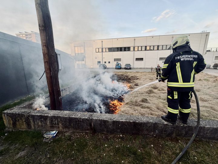 Brand Wiese | Vegetationsbrand