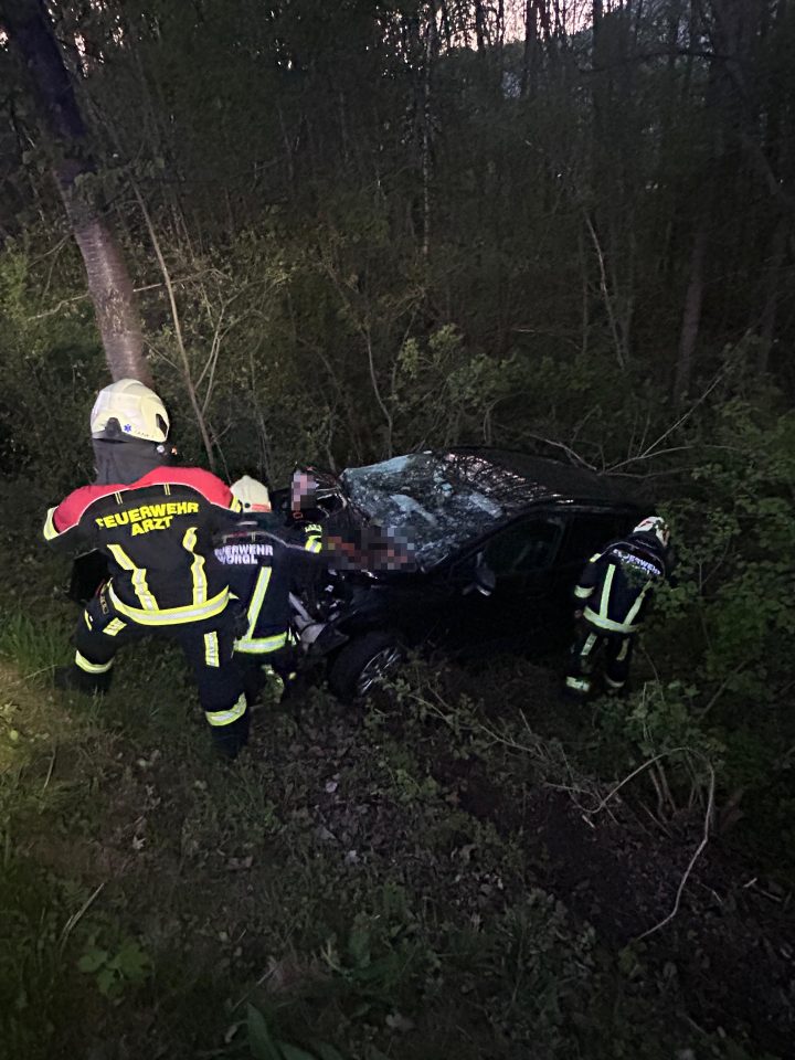 VU | PKW von Straße abgekommen